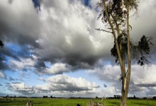 瓦朗谢纳主场击败南特，保级前景乐观的简单介绍